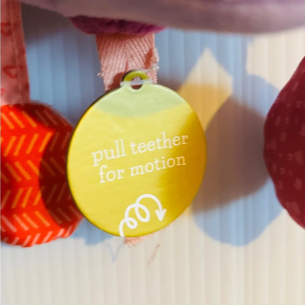 Colorful Baby Teether Toy